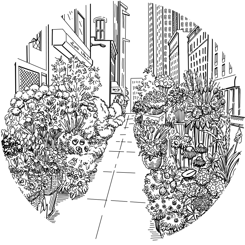 drawing of sidewalk in NYC flower district
