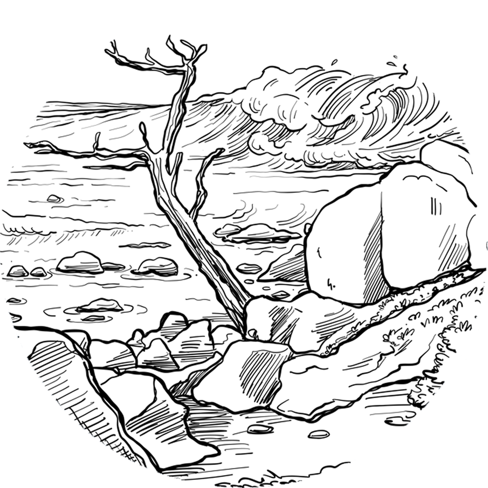drawing of ghost trees beach